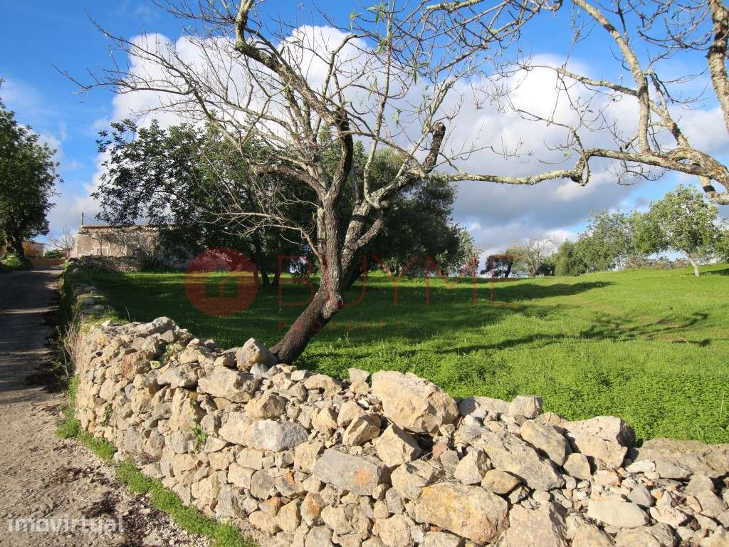 Terreno Urbano com Vista Mar em Cerro do Leiria, Santa Catarina Fon... - Grande imagem: 3/6