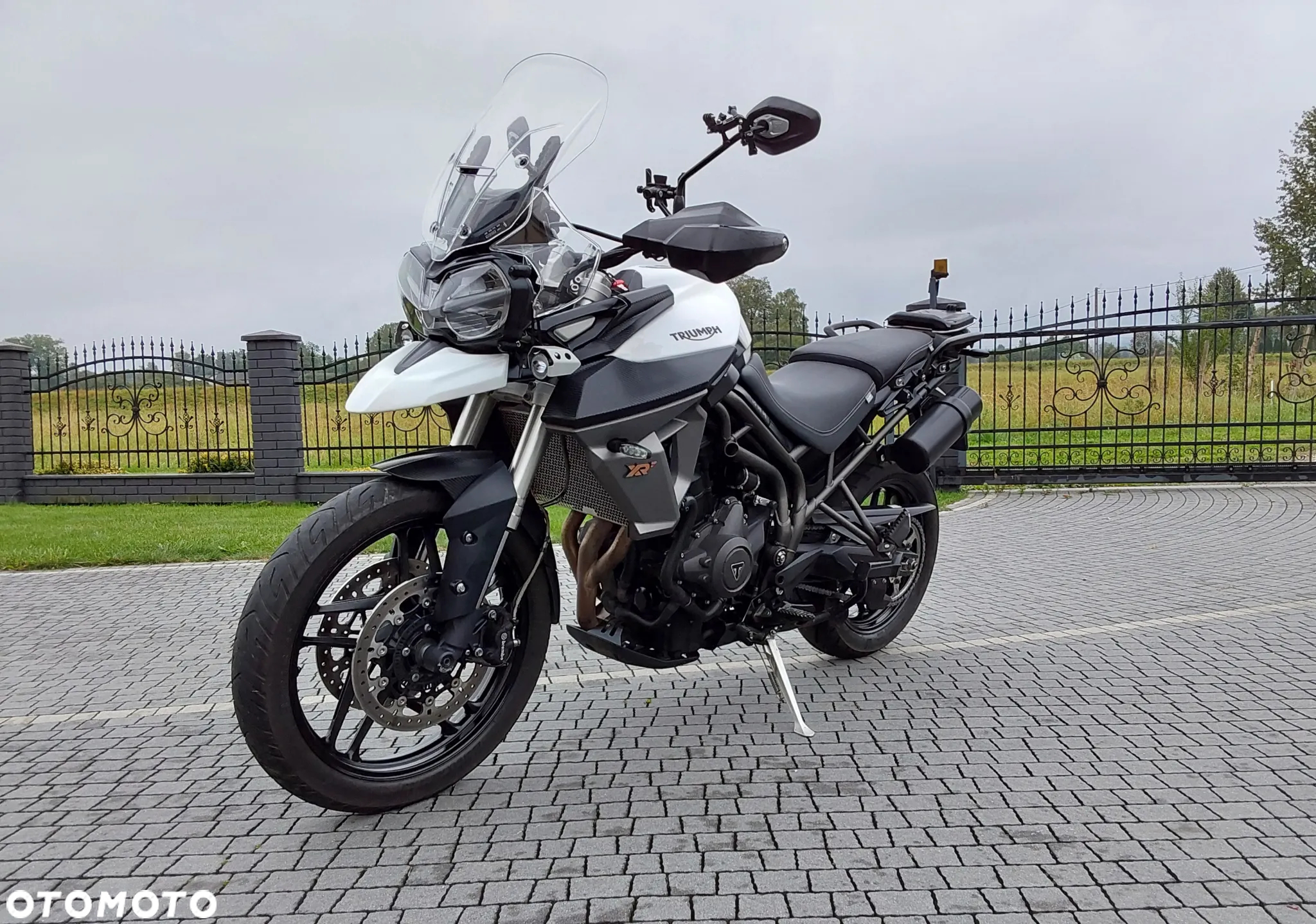 Triumph Tiger - 5