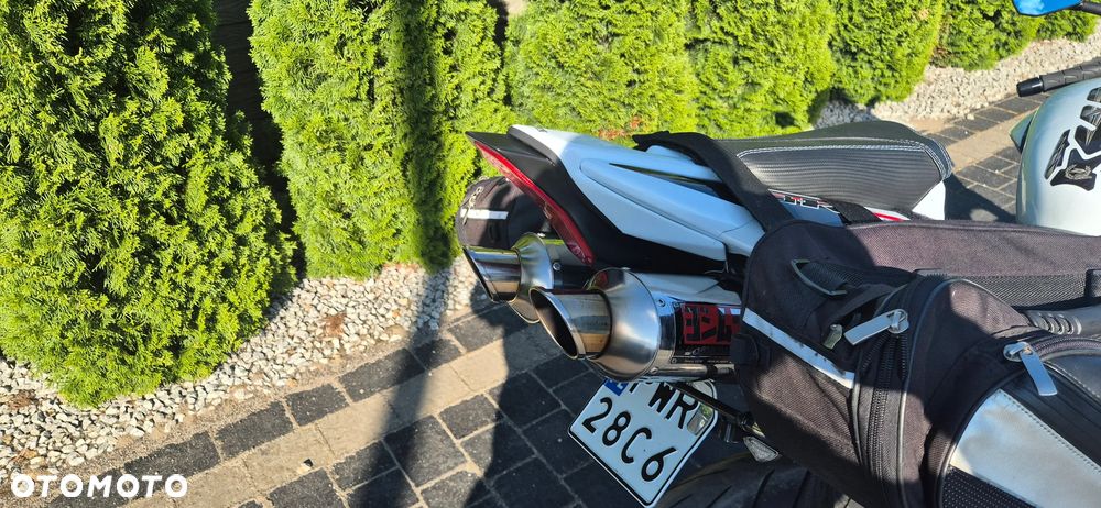 Suzuki GSX - 13