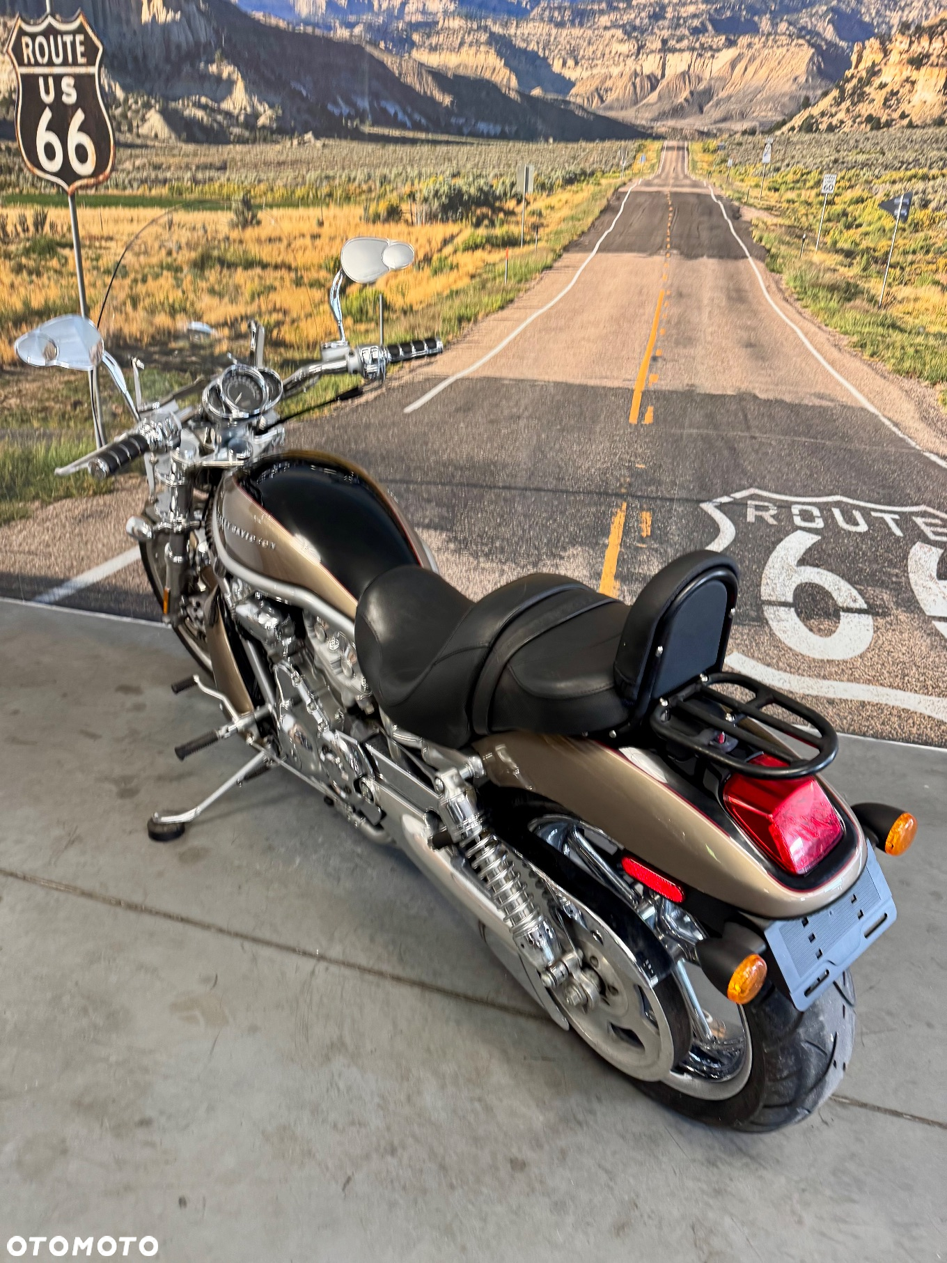 Harley-Davidson V-Rod Street Rod - 10