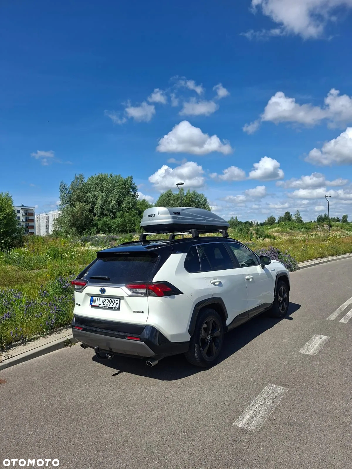Toyota RAV4 2.5 Hybrid Selection 4x2 - 8