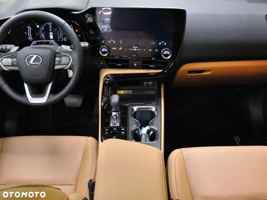 Lexus NX - 13