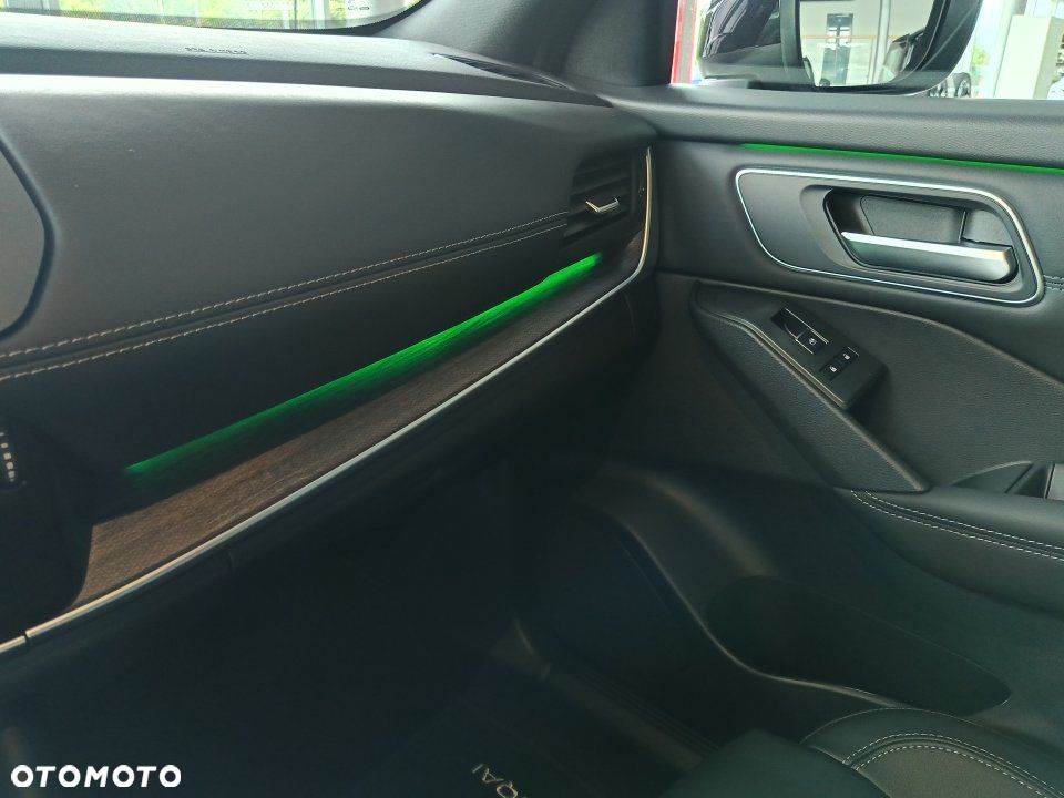 Nissan Qashqai - 25