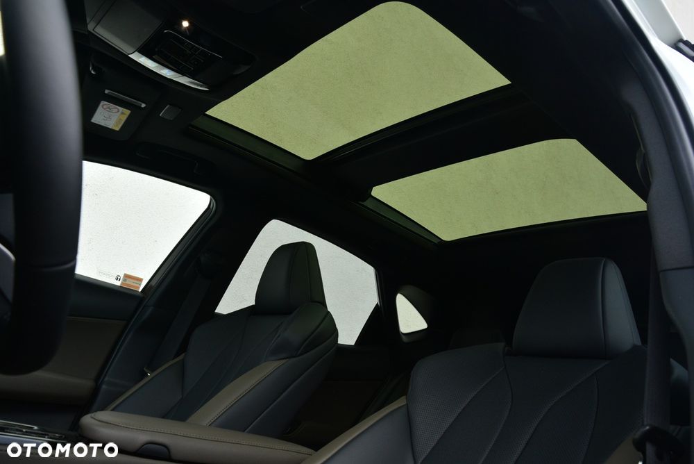 Lexus NX 350h Overtrail AWD - 10