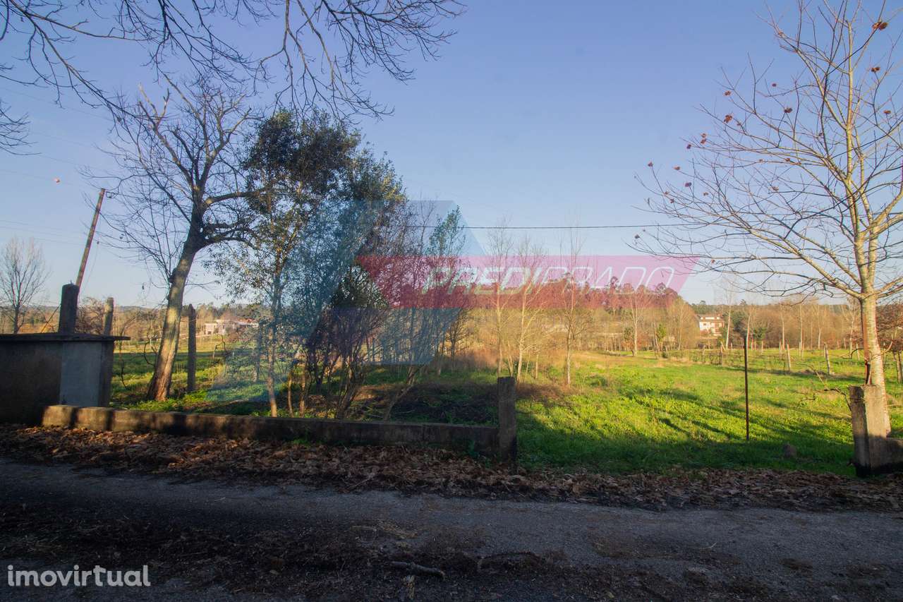 Terreno Agrícola em Escariz S. Mamede - Grande imagem: 2/8