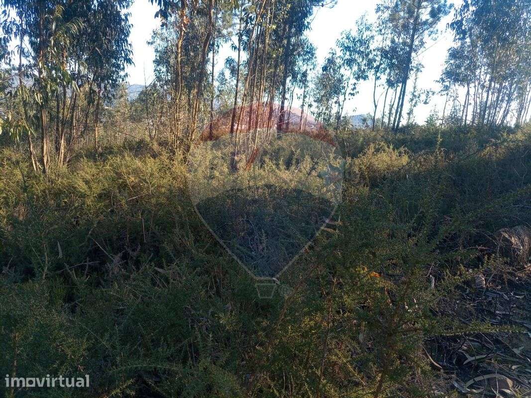 Terreno  para venda - Grande imagem: 3/8