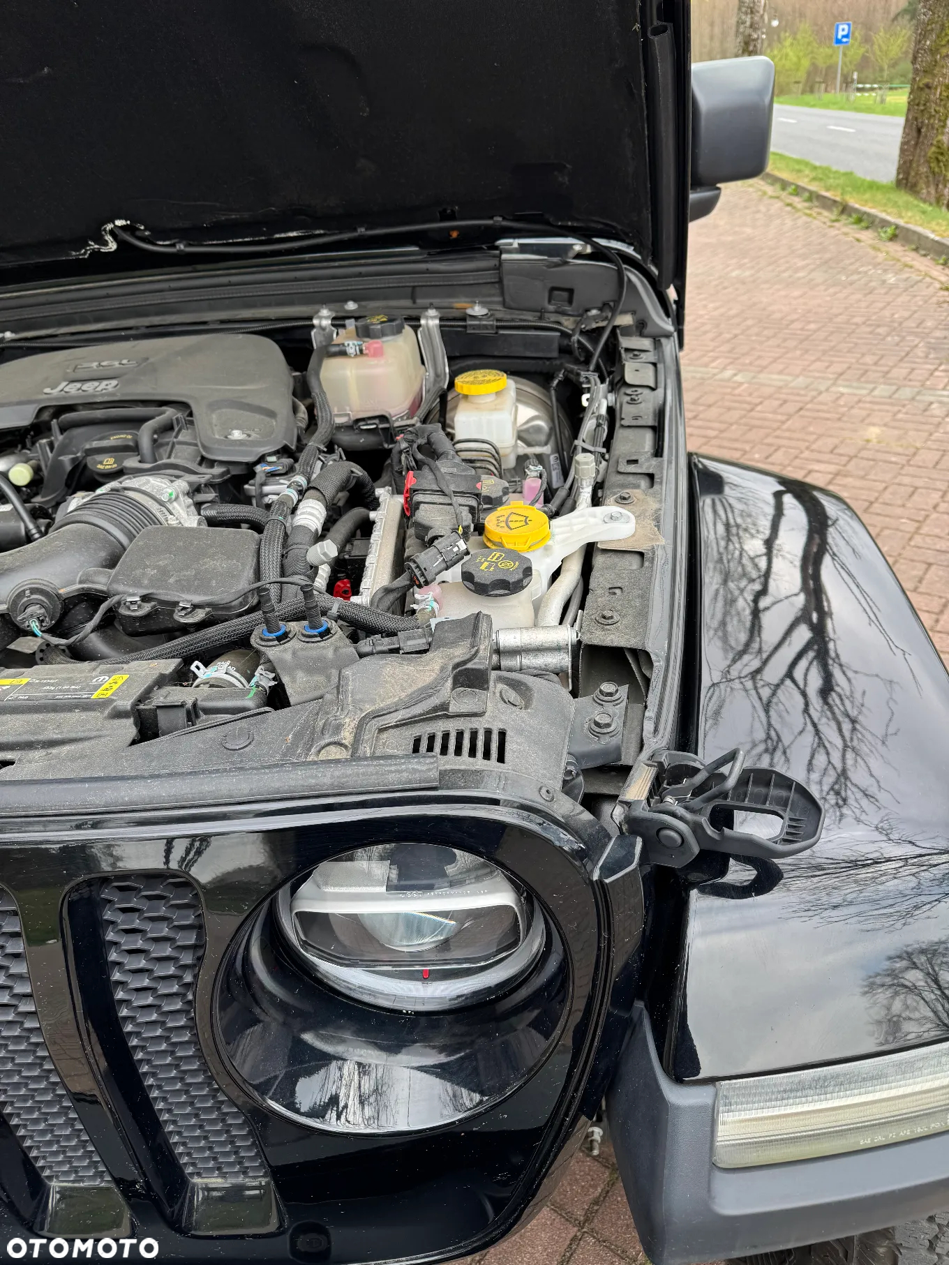 Jeep Wrangler - 17