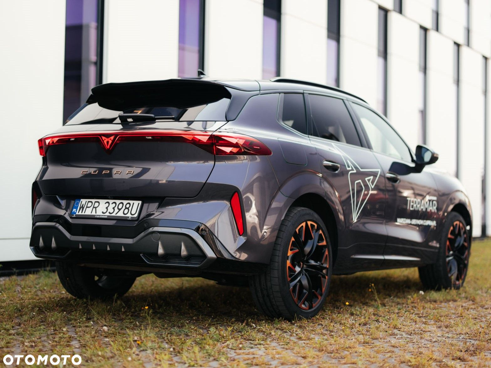 Cupra Terramar - 3