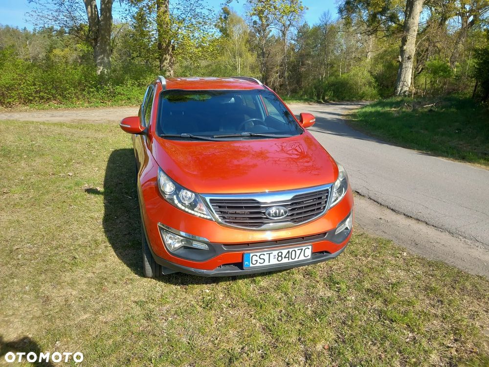 Kia Sportage - 1