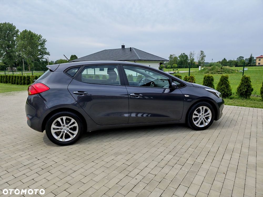 Kia Ceed - 17
