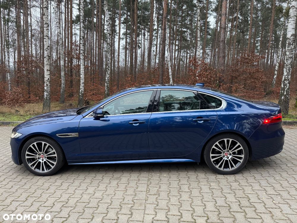 Jaguar XF P300 AWD R-Dynamic S - 2