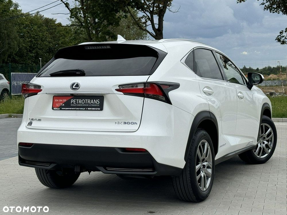 Lexus NX - 10