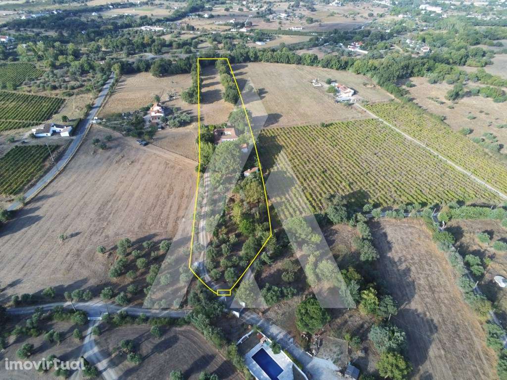 Quinta em Évora. A poucos minutos do Centro da Cidade. - Grande imagem: 2/60