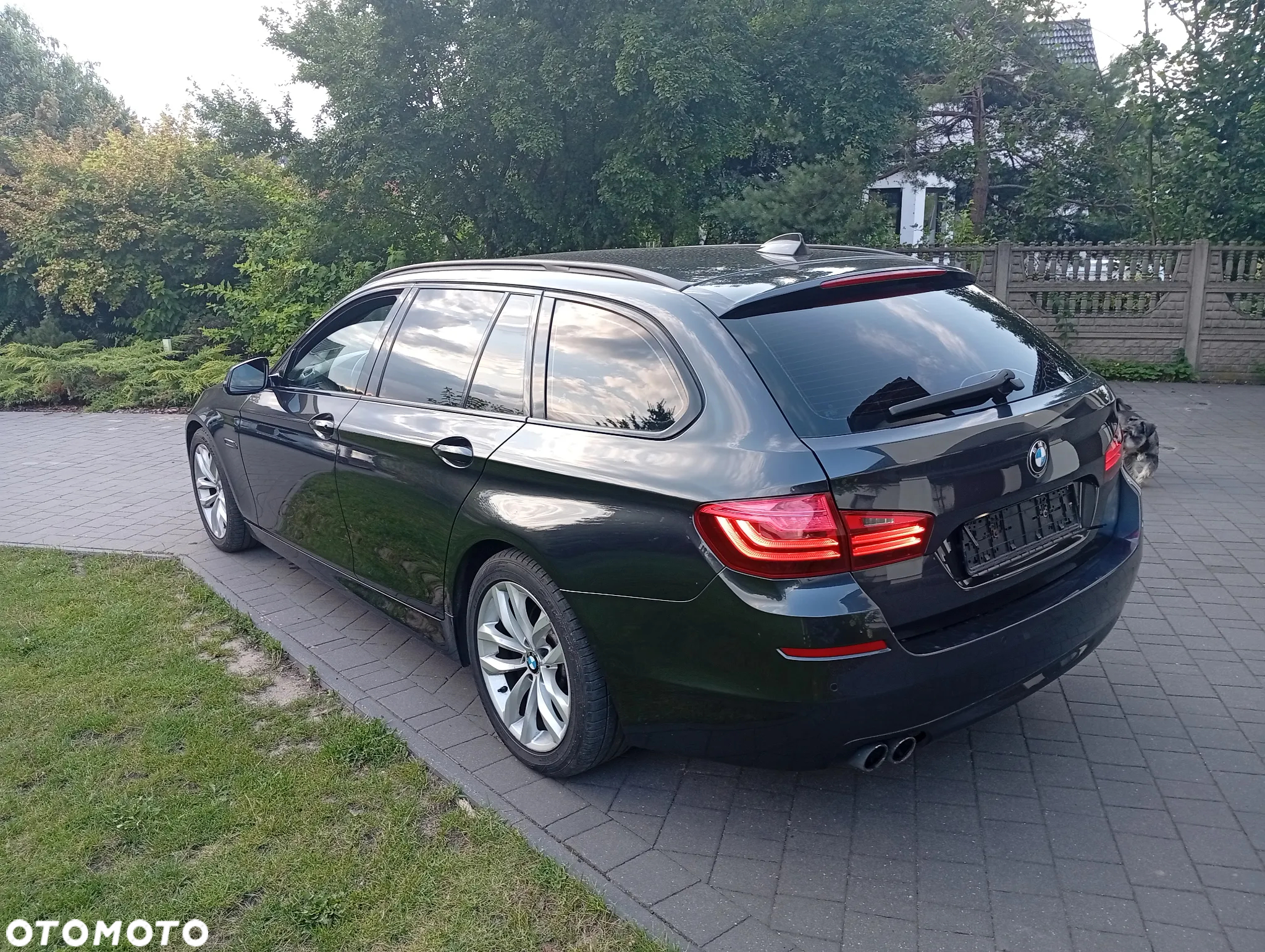 BMW Seria 5 520d Touring Sport-Aut - 14