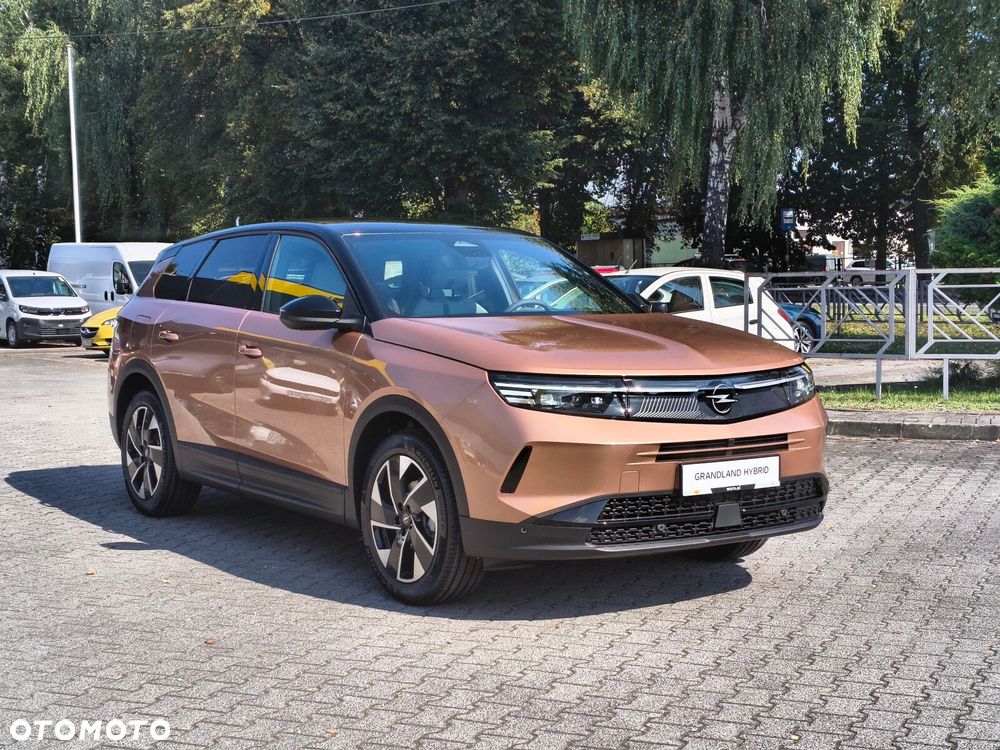 Opel Grandland - 9