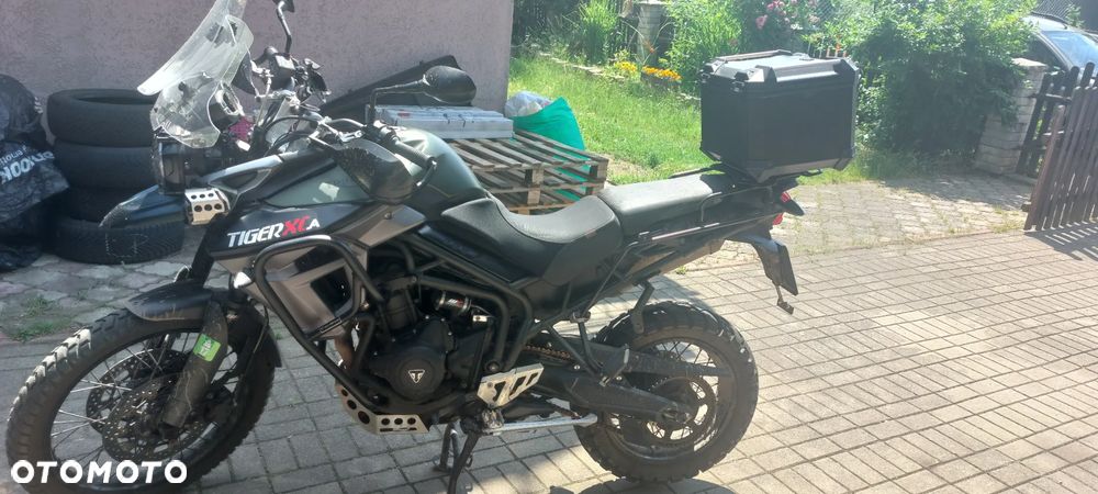 Triumph Tiger - 8