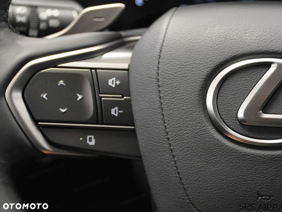 Lexus NX - 13