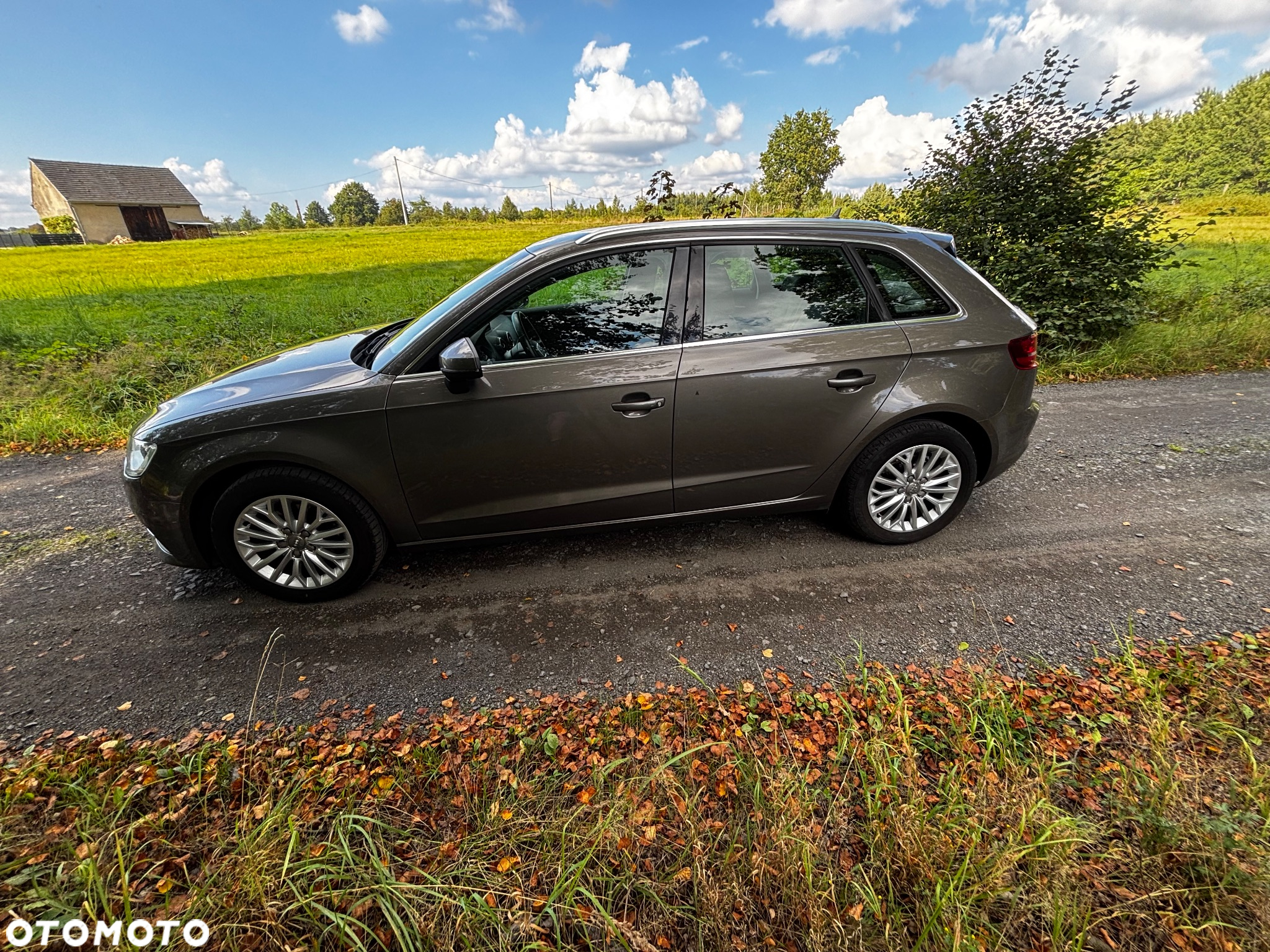 Audi A3 Sportback 1.6 TDI S tronic Ambiente - 6