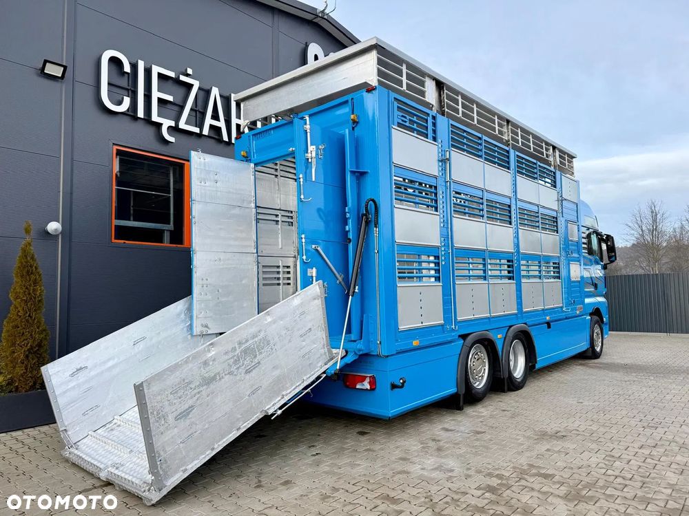 MAN TGX 26.540 // E6 // Zabudowa PEZZAIOLI // 3 poziomy hydraulika, podnoszony dach, rampa hydrauliczna // do żywca, do bydła, do transportu zwierząt - 16