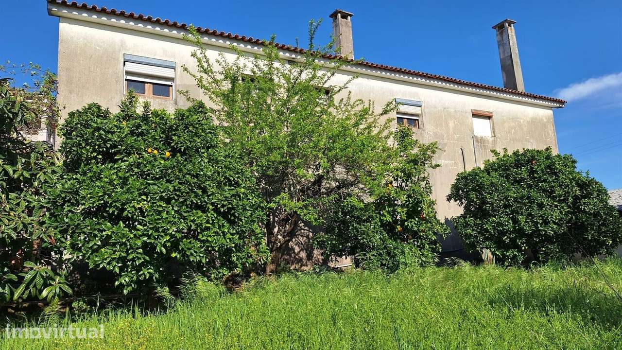 MORADIA COM GRANDE POTENCIAL | 1.850 M² DE TERRENO | CABANAS DE VIRIAT - Grande imagem: 2/25