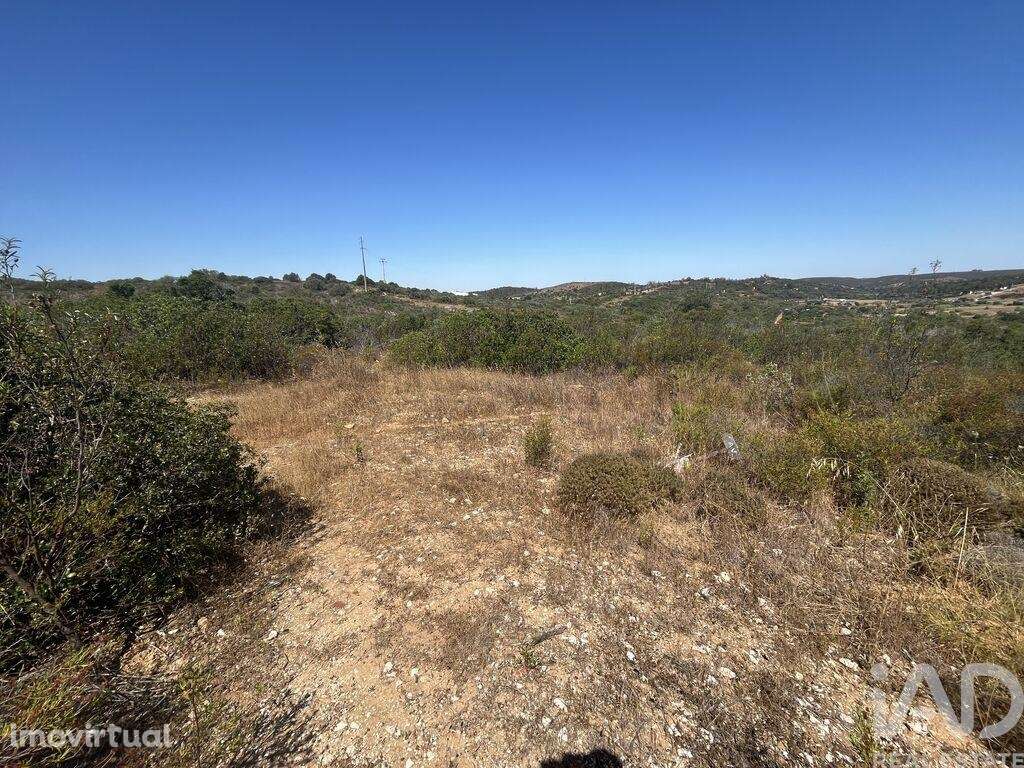 Terreno em Barão de São Miguel - Grande imagem: 2/6