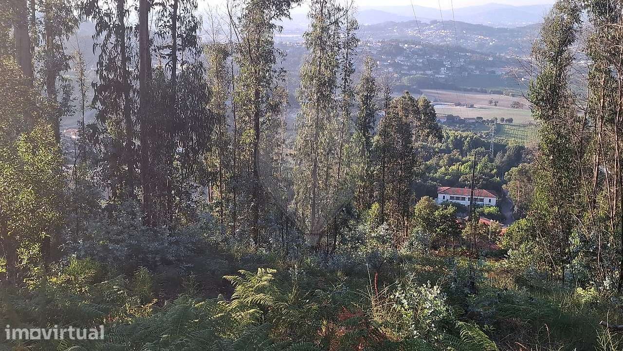 Terreno  para venda - Grande imagem: 2/17