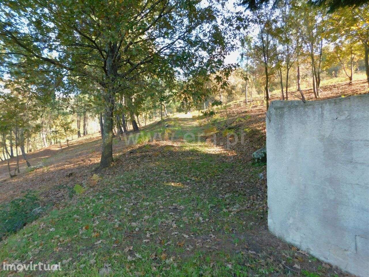 Terreno / Seia, Seia, São Romão e Lapa dos Dinheiros - Grande imagem: 2/5