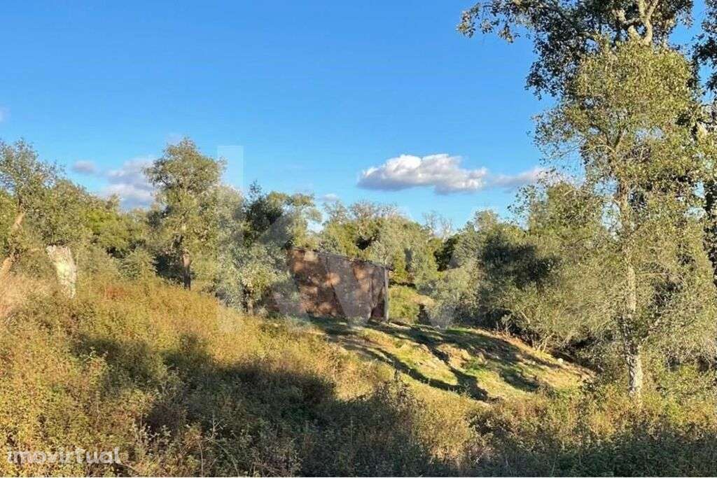 Terreno Misto c/ ruína e dependência agrícola - São Francisco da Serra - Grande imagem: 5/9