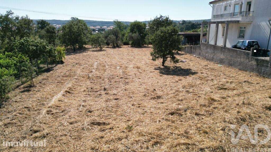 Terreno para construção em Avelar - Grande imagem: 3/22