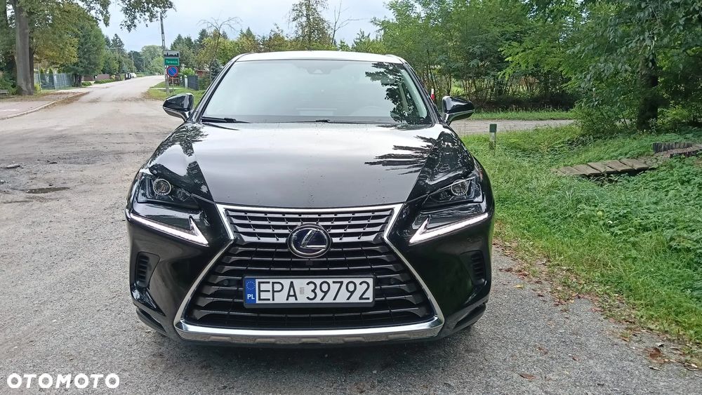 Lexus NX - 2