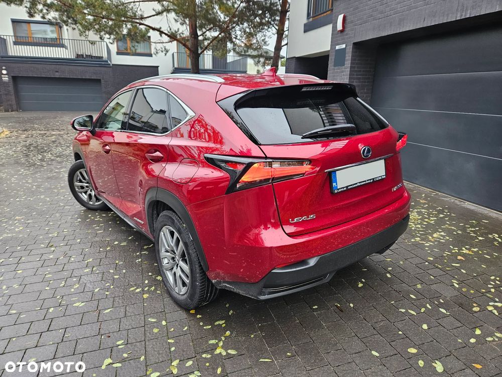 Lexus NX 300h Comfort AWD - 6