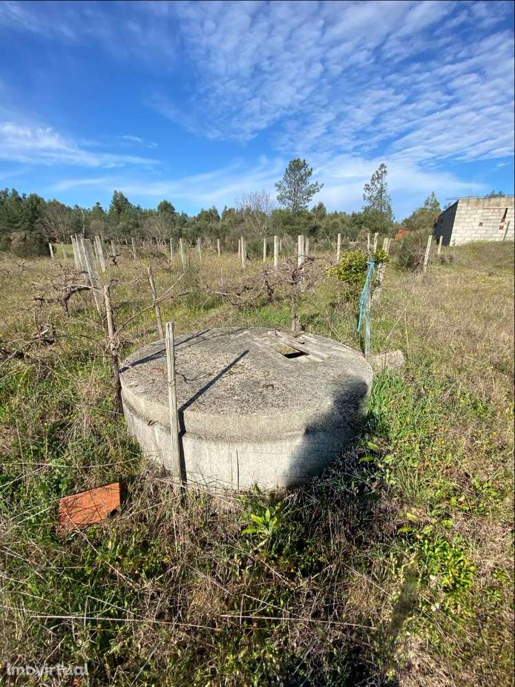 Quinta - Grande imagem: 3/14