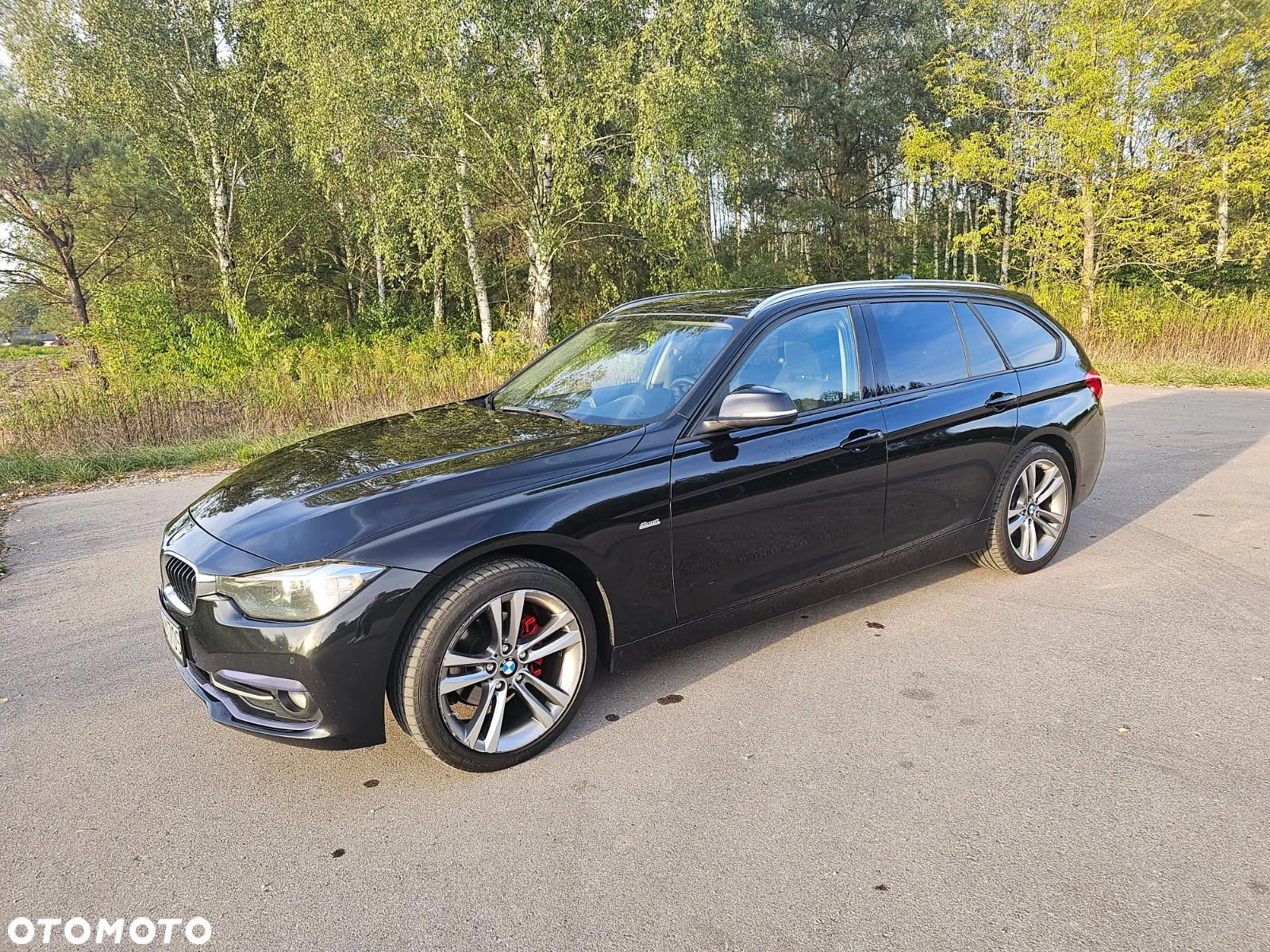 BMW Seria 3 318d Sport Line - 37