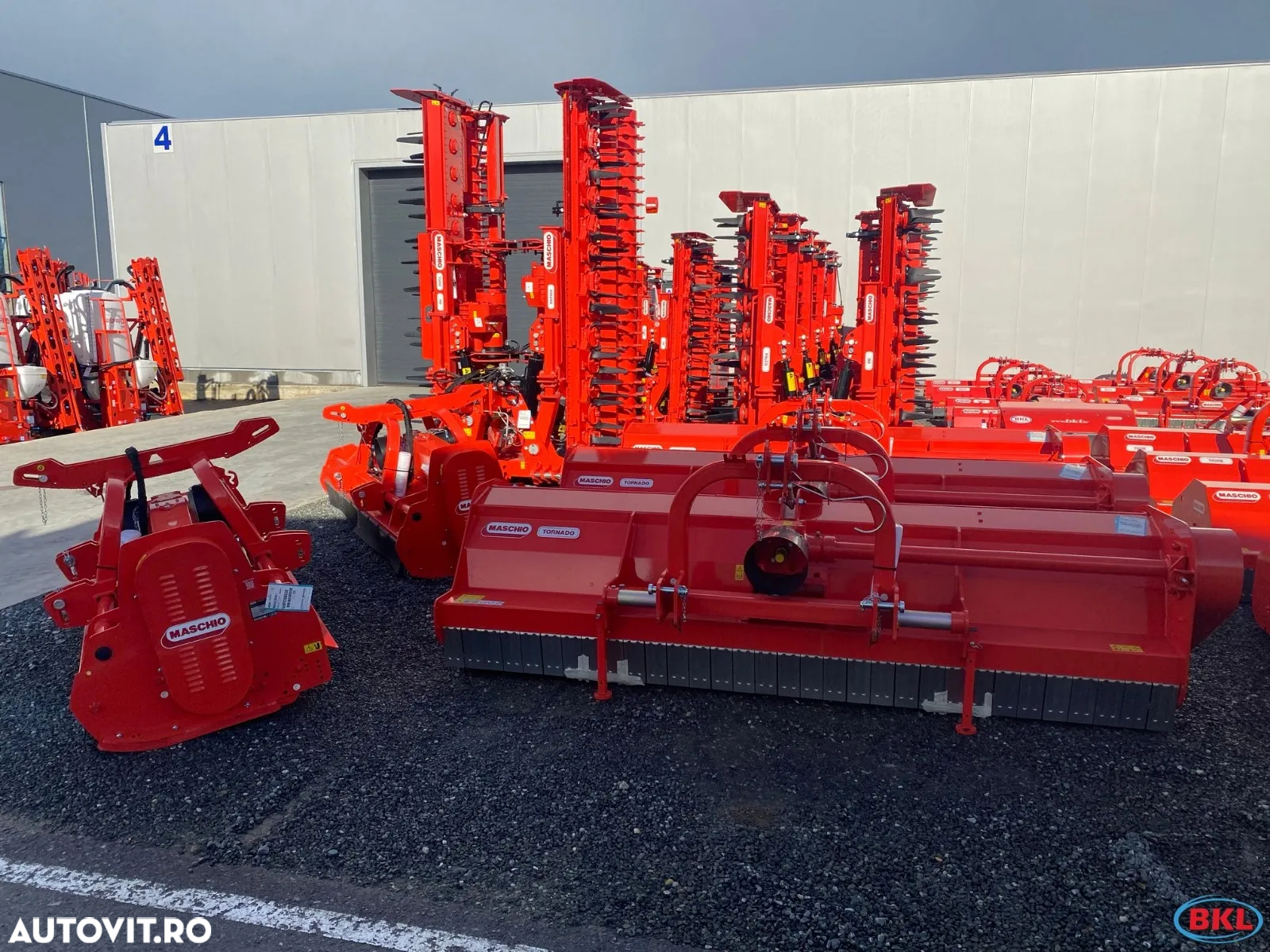 Maschio BIRBA,FURBA,BARBI,BELLA,BRAVA,CORAZZA,TIGRE,BISONTE,BUFALO,CHIARA,TORNADO,LEOPARD,GEMELLA,GIRAFFA - 11
