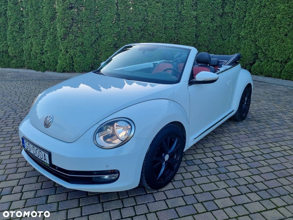 Volkswagen Beetle - 11