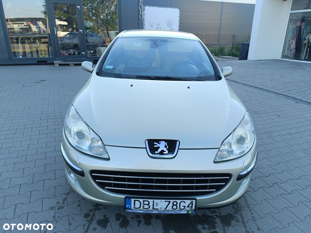 Peugeot 407 - 3