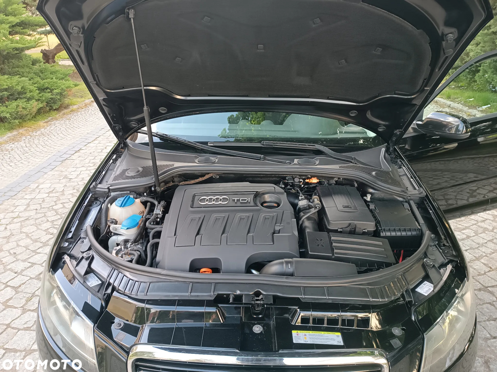Audi A3 1.6 TDI Sportback DPF Attraction - 19