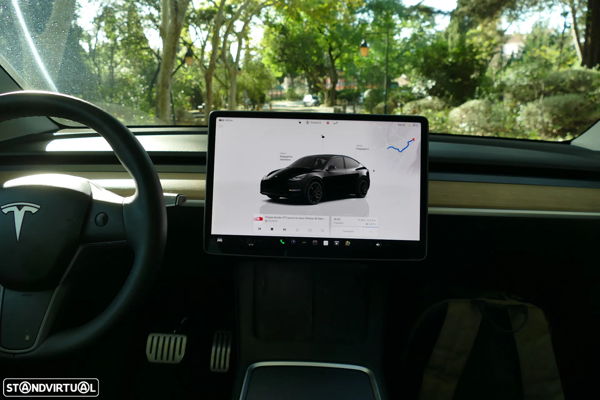 Tesla Model Y Performance Dual Motor AWD - 19