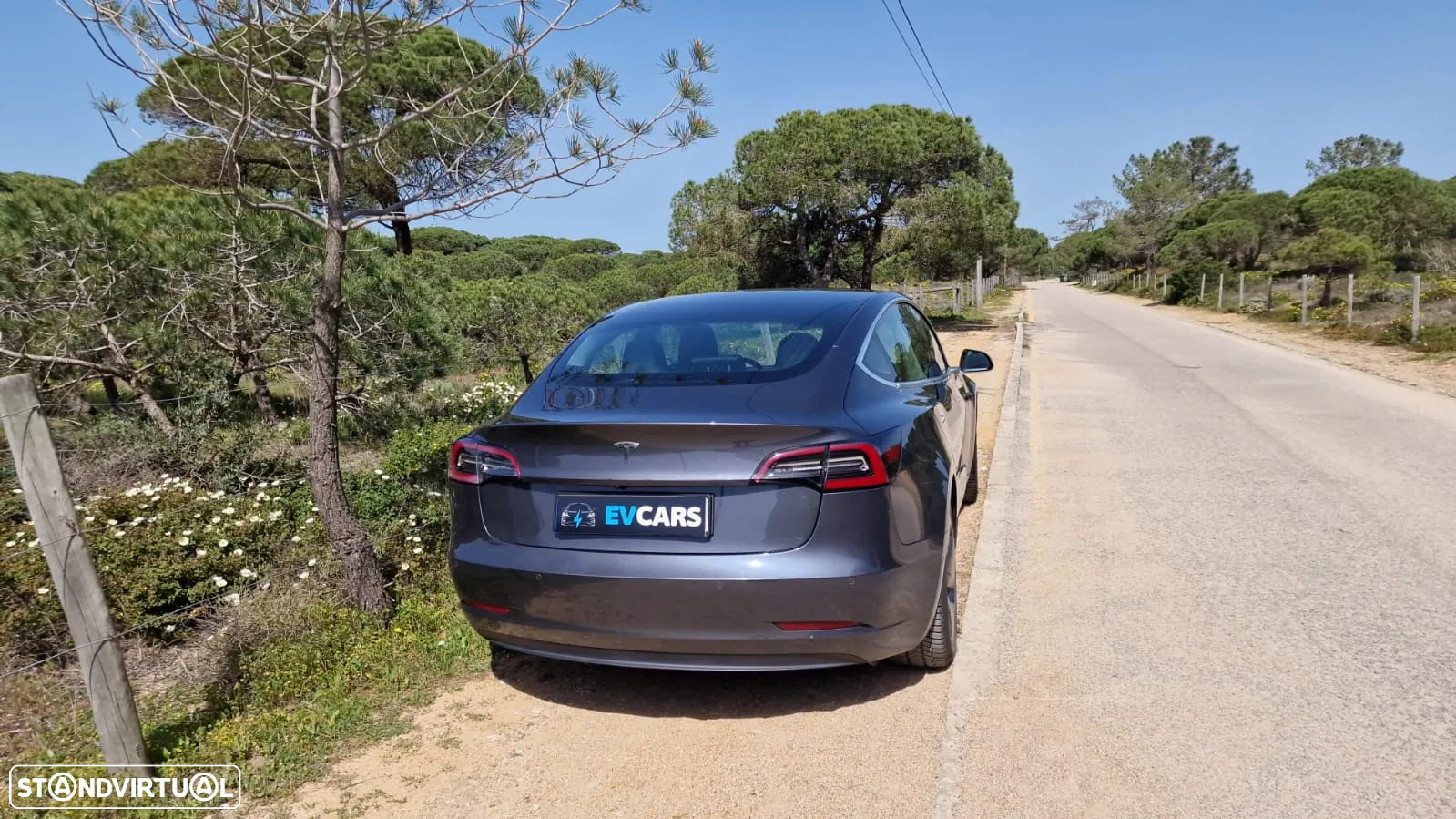 Tesla Model 3 Standard Range Plus RWD - 19