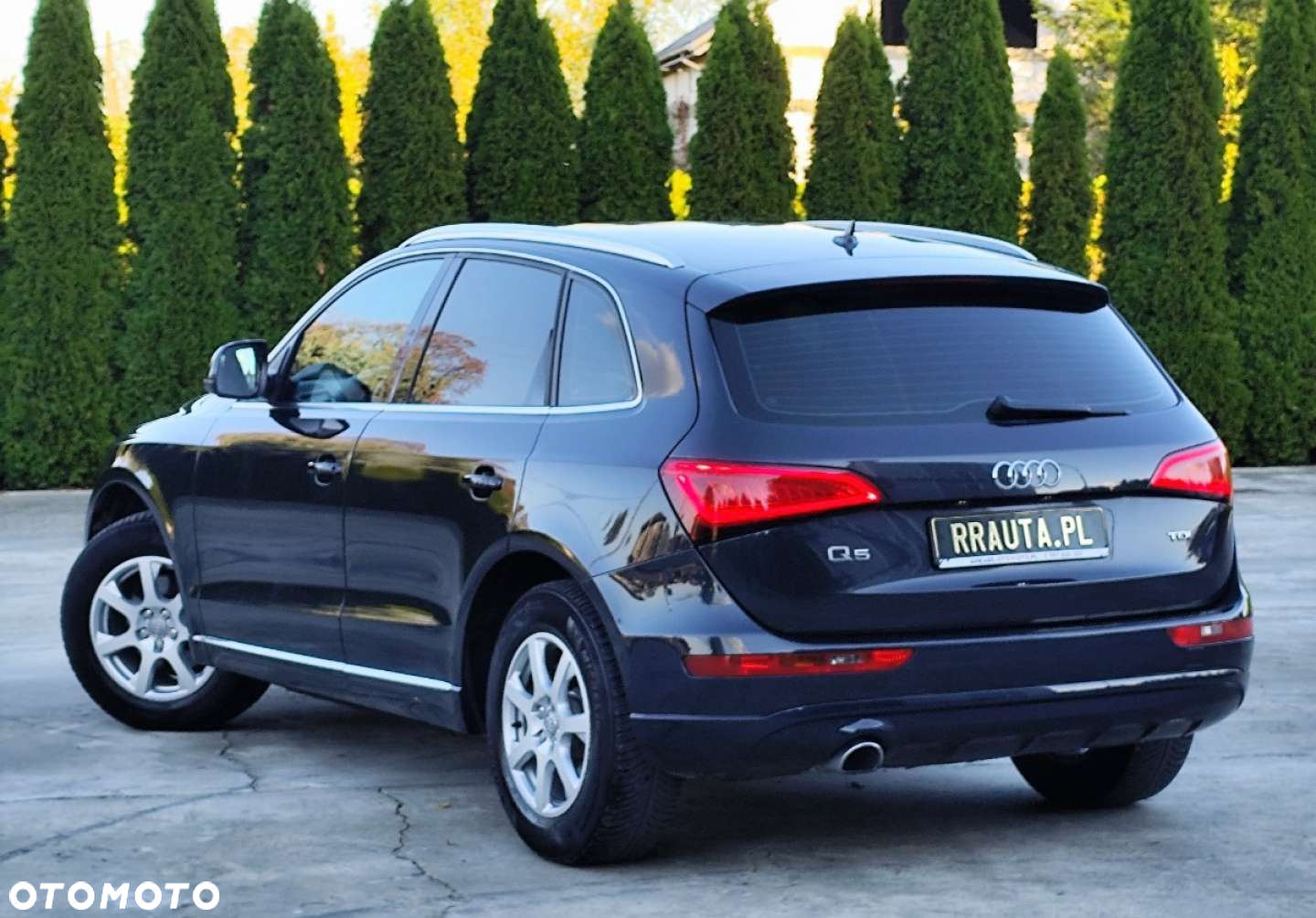 Audi Q5 - 8