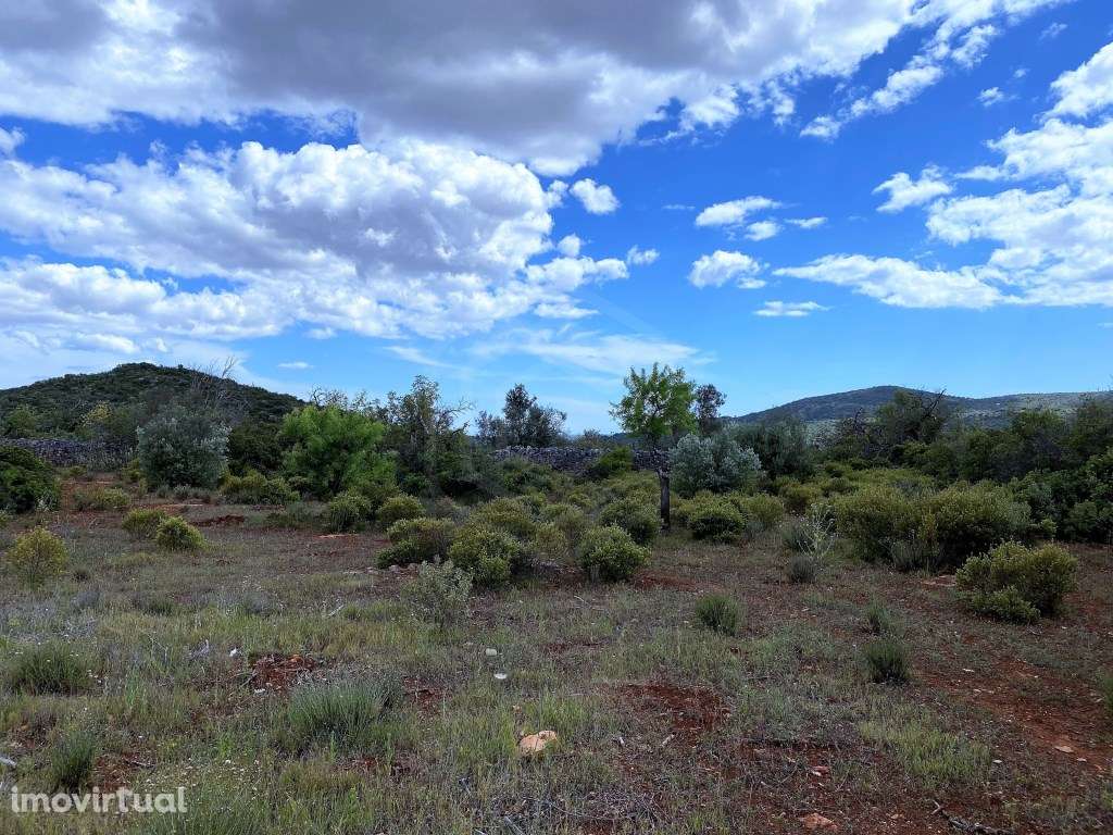 Terreno Rútico com vista Mar, Loulé, Algarve - Grande imagem: 2/13