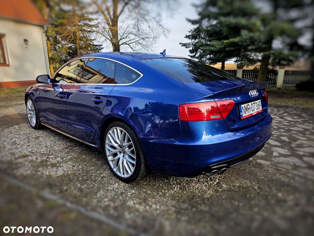 Audi A5 Sportback 3.0 TDI clean diesel Quattro S tronic - 1