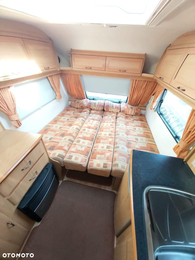 Avondale Argente - 17