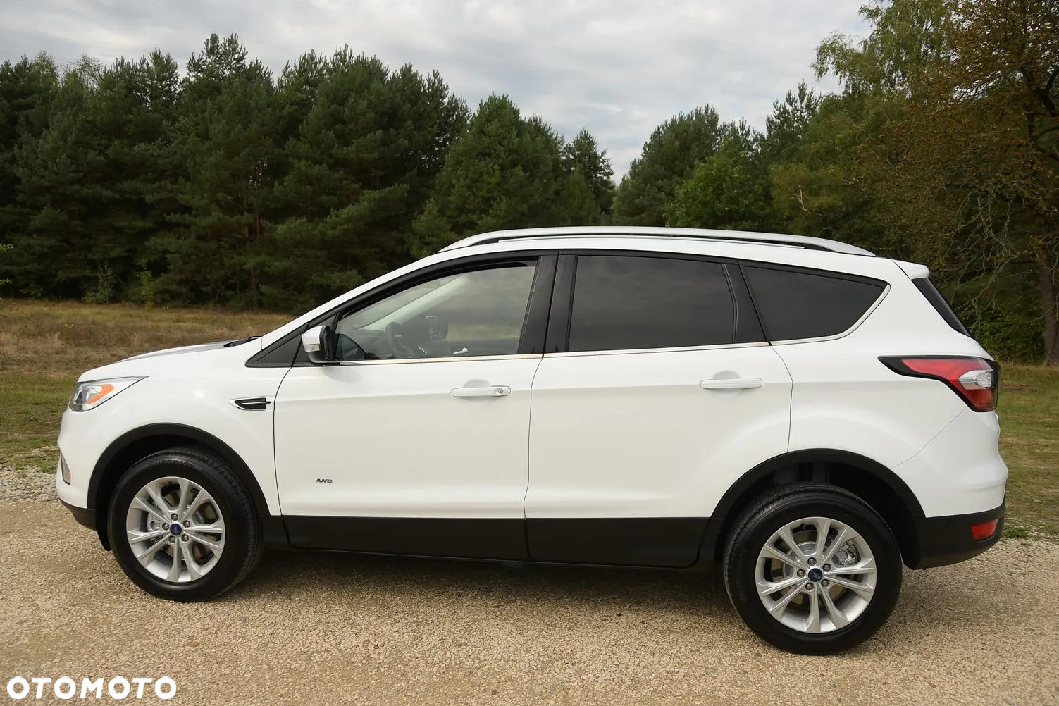 Ford Kuga 2.0 TDCi 4WD Titanium Plus - 3