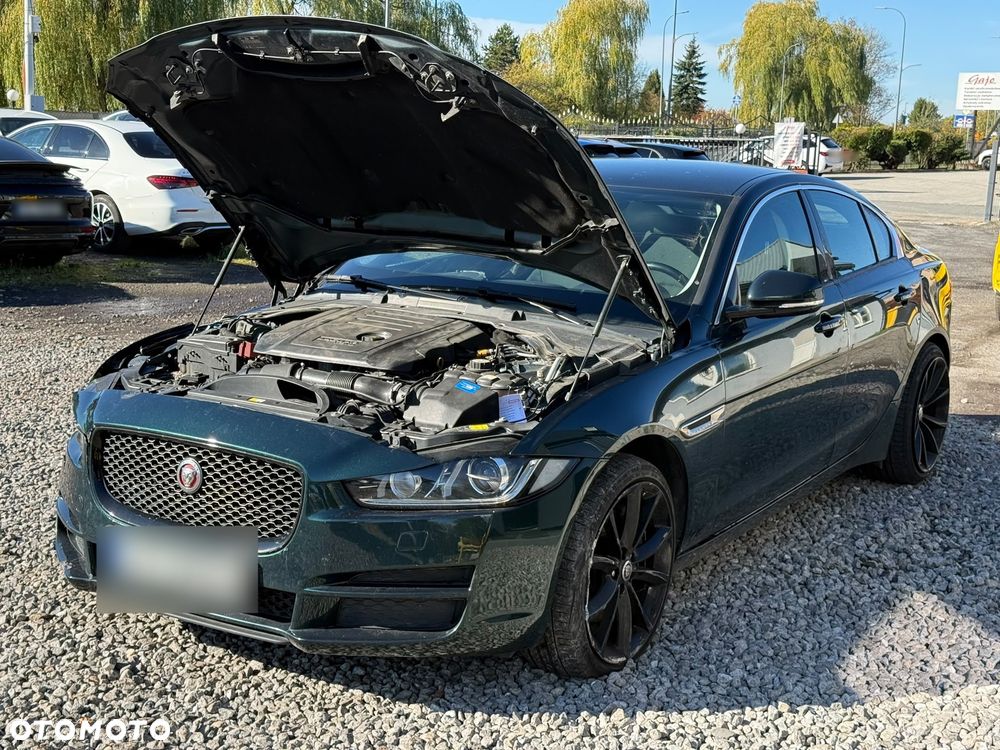 Jaguar Xe 2017 photo 5