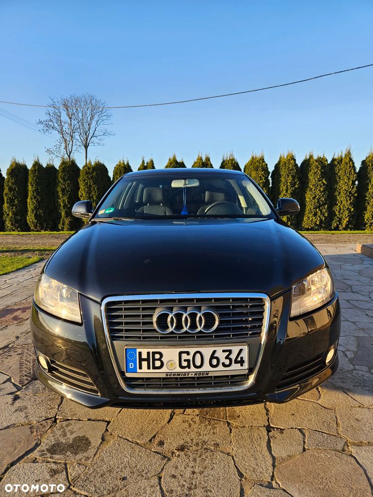 Audi A3 3-drzwiowe 1.6 Ambiente - 2