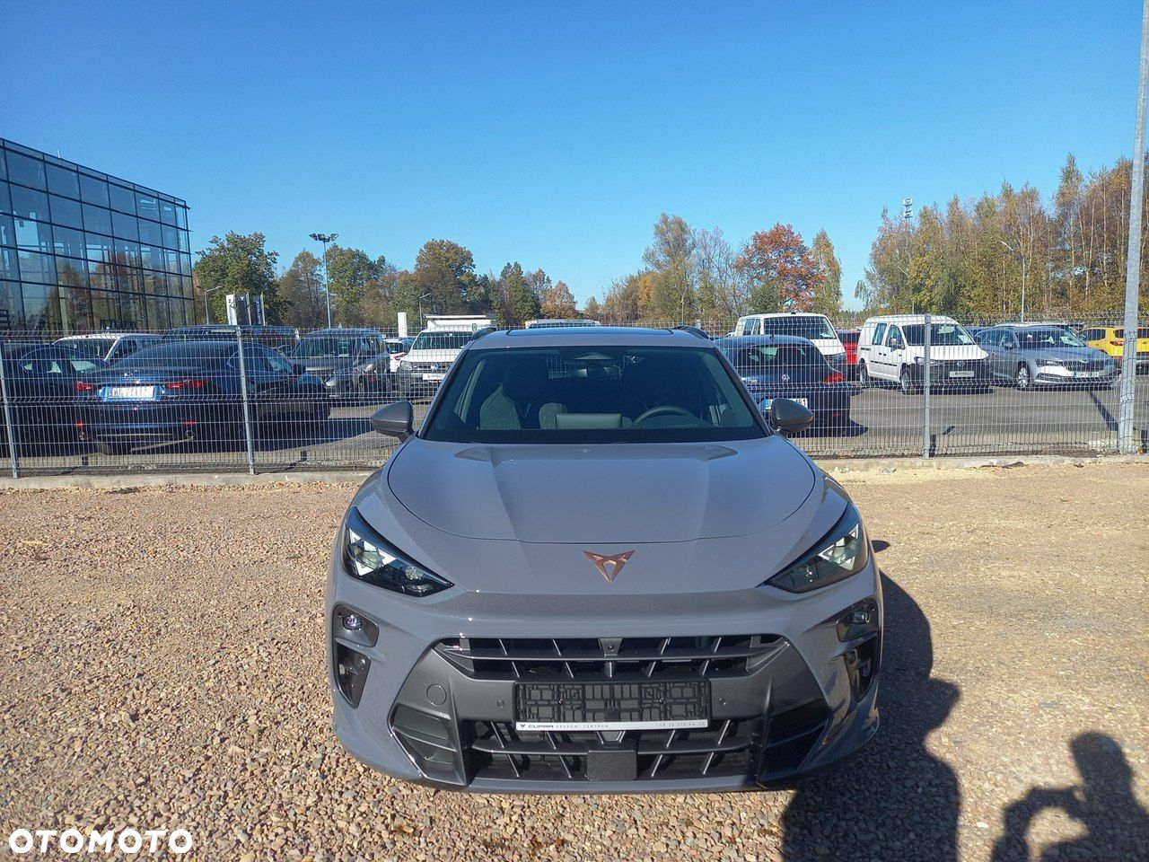 Cupra Terramar - 2