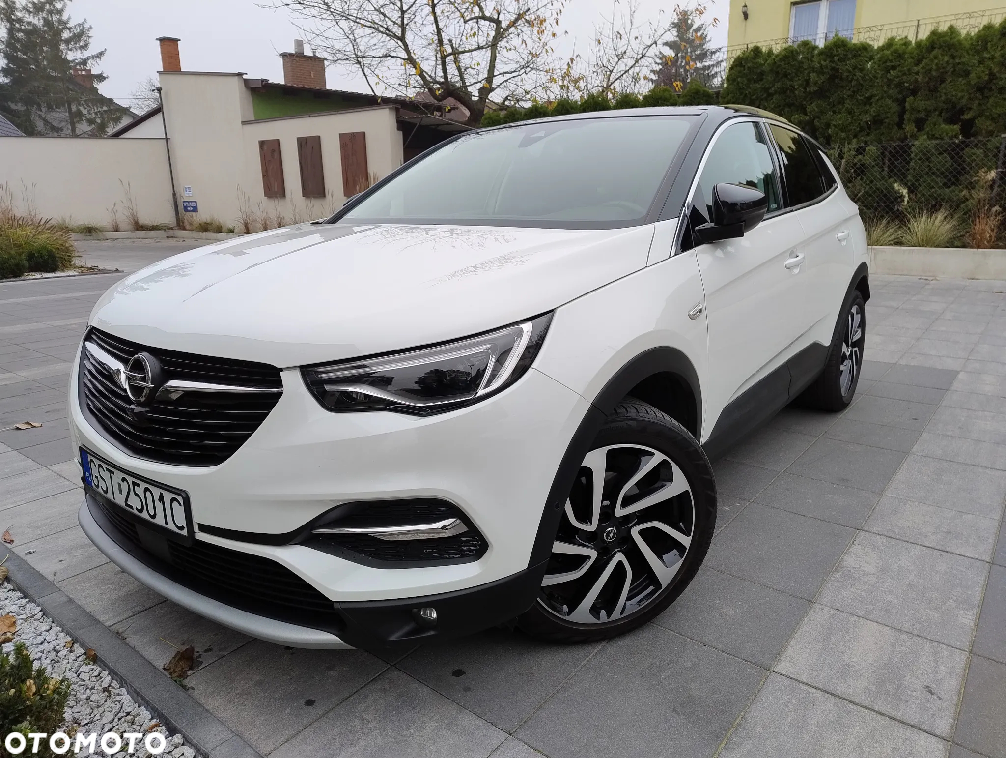Opel Grandland X 1.6 CDTI Ultimate S&S - 2