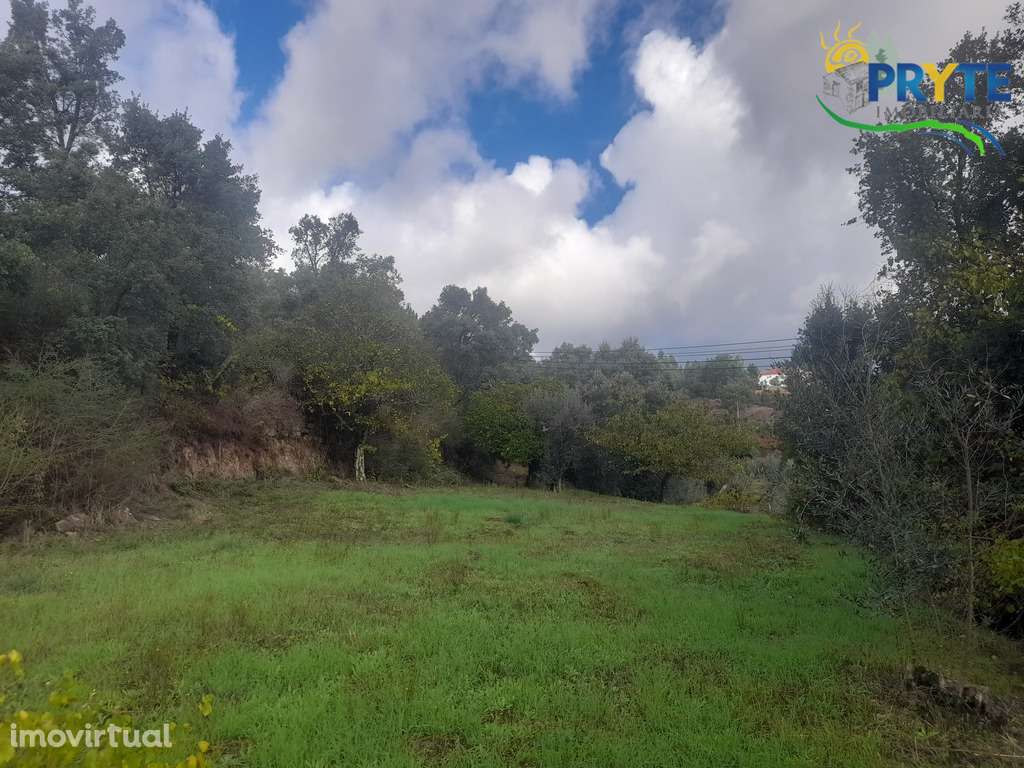 Terreno com 6000 metros quadrados em Linhares - Proença-a-Nova - Grande imagem: 4/12