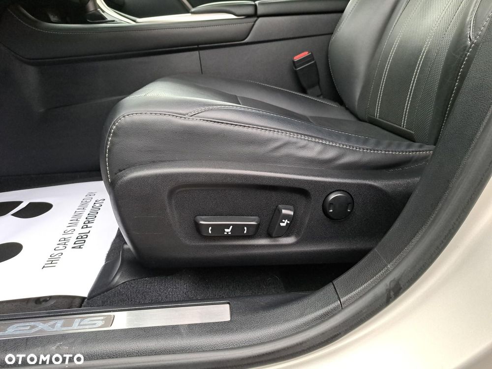 Lexus RX 450h F-Impression - 16